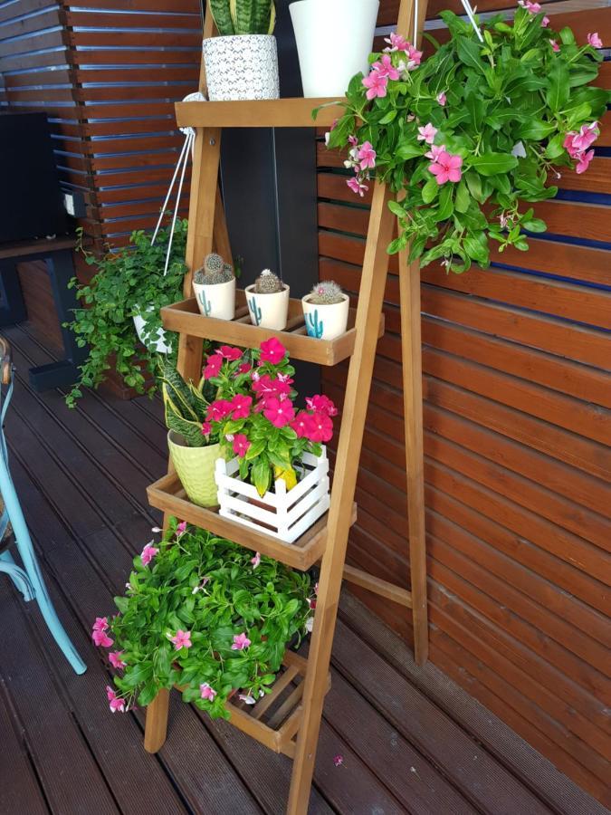 阿格里真托La Terrazza Di Carolina住宿加早餐旅馆 外观 照片